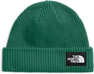 The North Face Unisex-Adult Salty Dog Lined Beanie